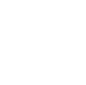 Selecteddisco